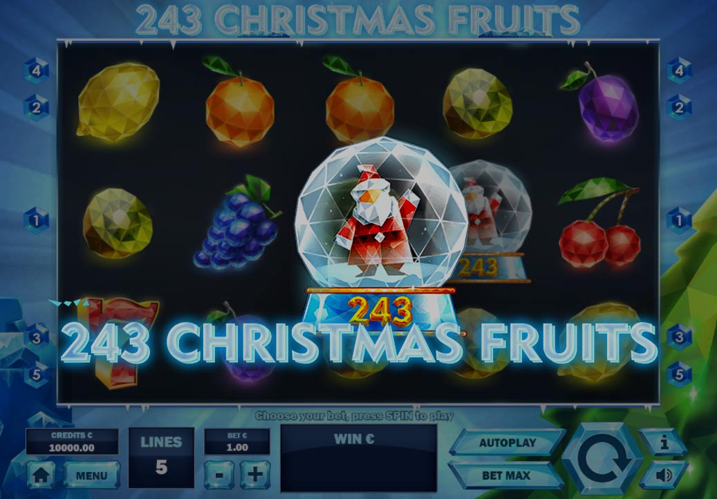 243 Christmas Fruits