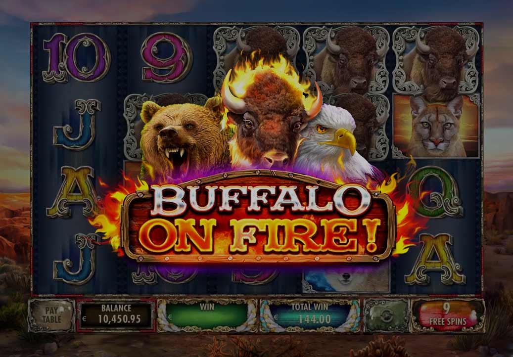 Buffalo on Fire