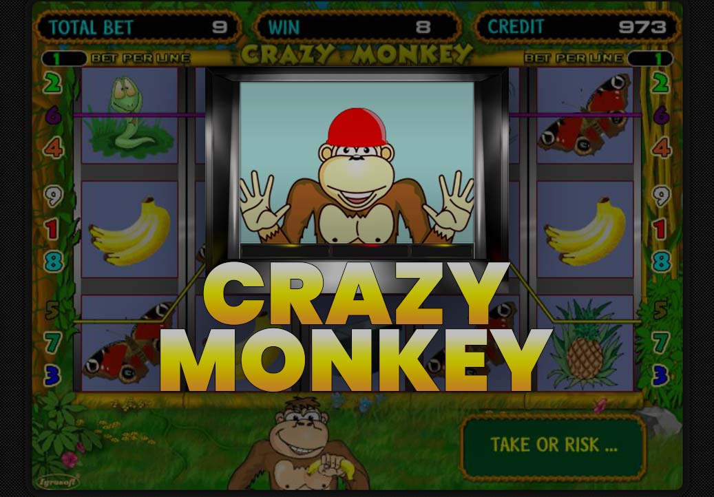 Crazy Monkey