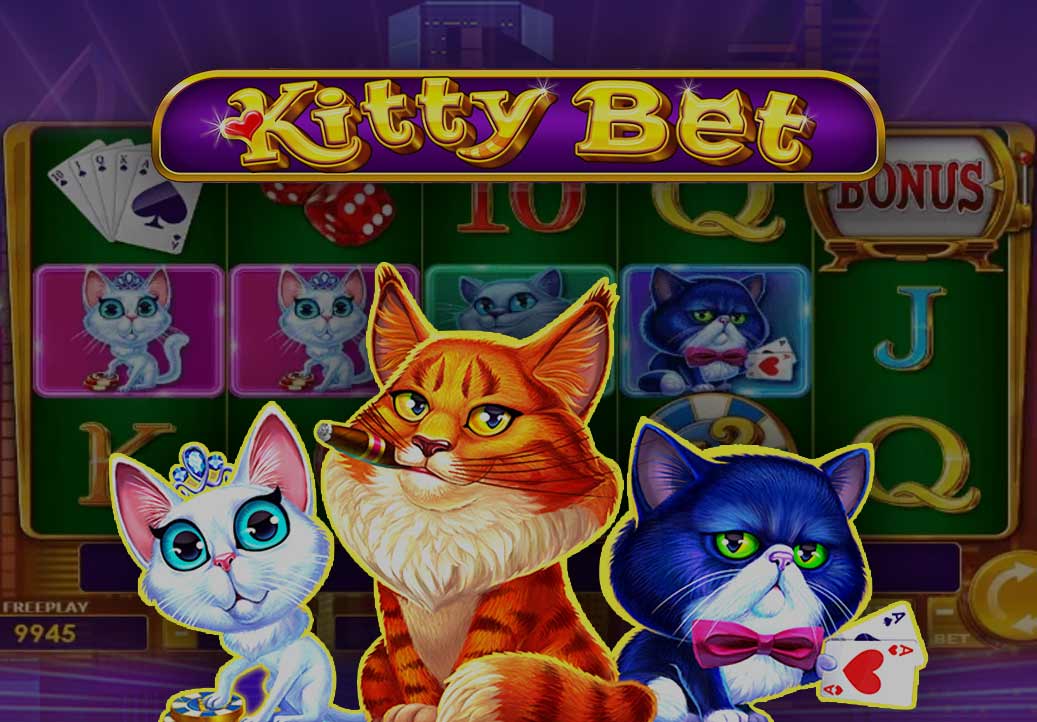 Kitty Bet