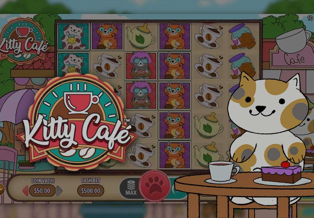 Kitty Café