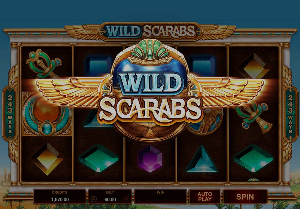 Wild Scarabs