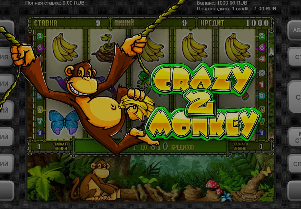 Crazy Monkey 2