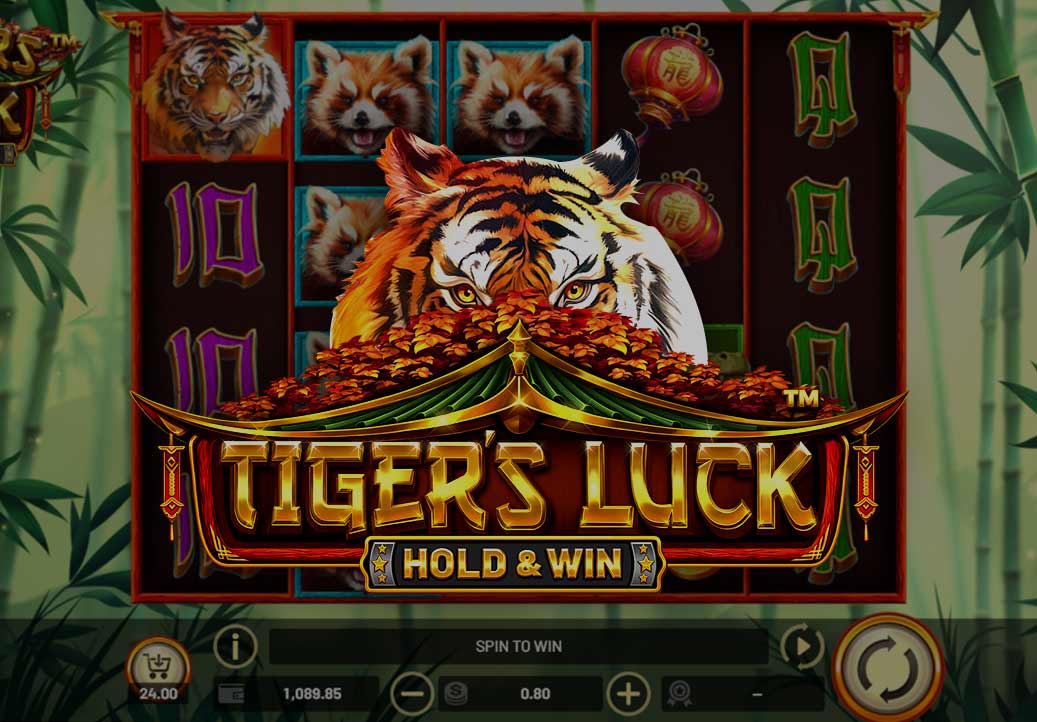 Tiger’s Luck – Hold and Win