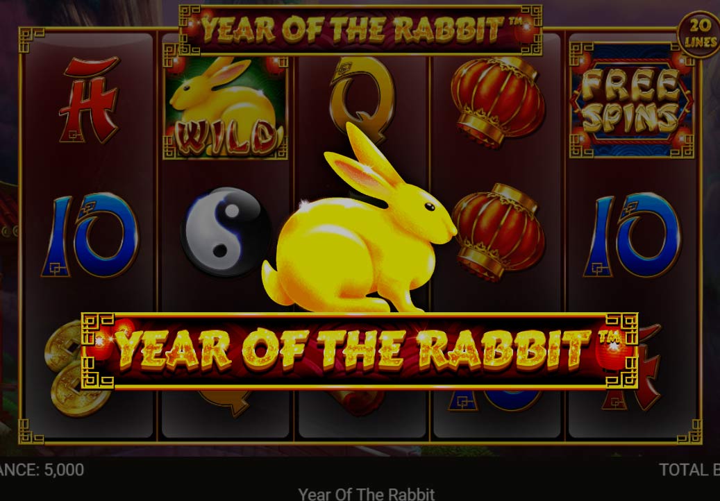 Year of the Rabbit