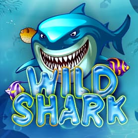 Wild Shark – обзор игрового автомата