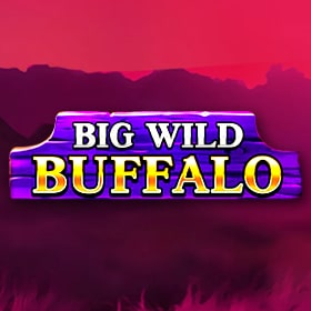 Big Wild Buffalo