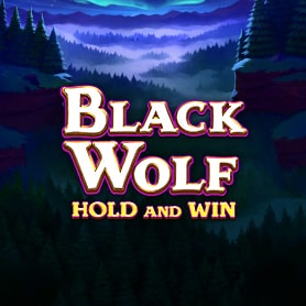 Black Wolf: Hold and Win