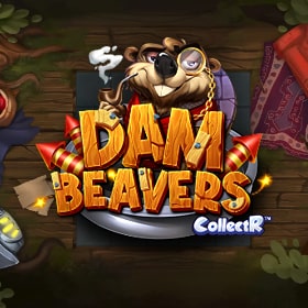 Dam Beavers