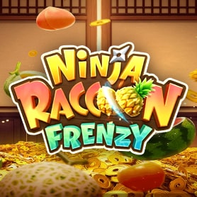 Ninja Raccoon Frenzy