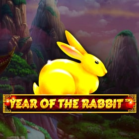 Year of the Rabbit