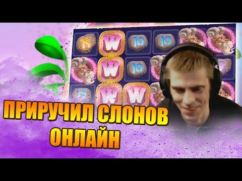 Заносы Доброго Лудика | Приручил Слонов | Slot Pink Elephants 2